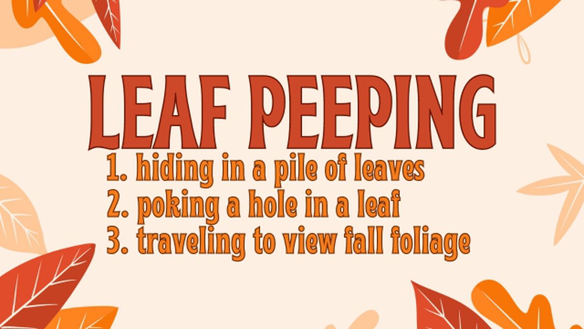 Weird Words: Fall Edition image number null